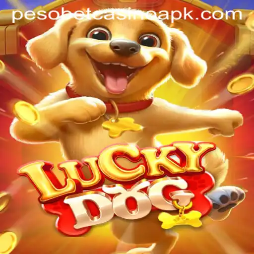 Exploring LuckyDog: A Blend of Adventure and Casino Entertainment