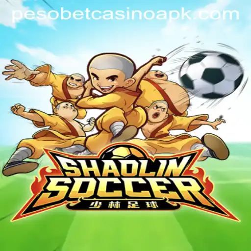 Exploring ShaolinSoccer: The Dynamic Fusion of Martial Arts and Football
